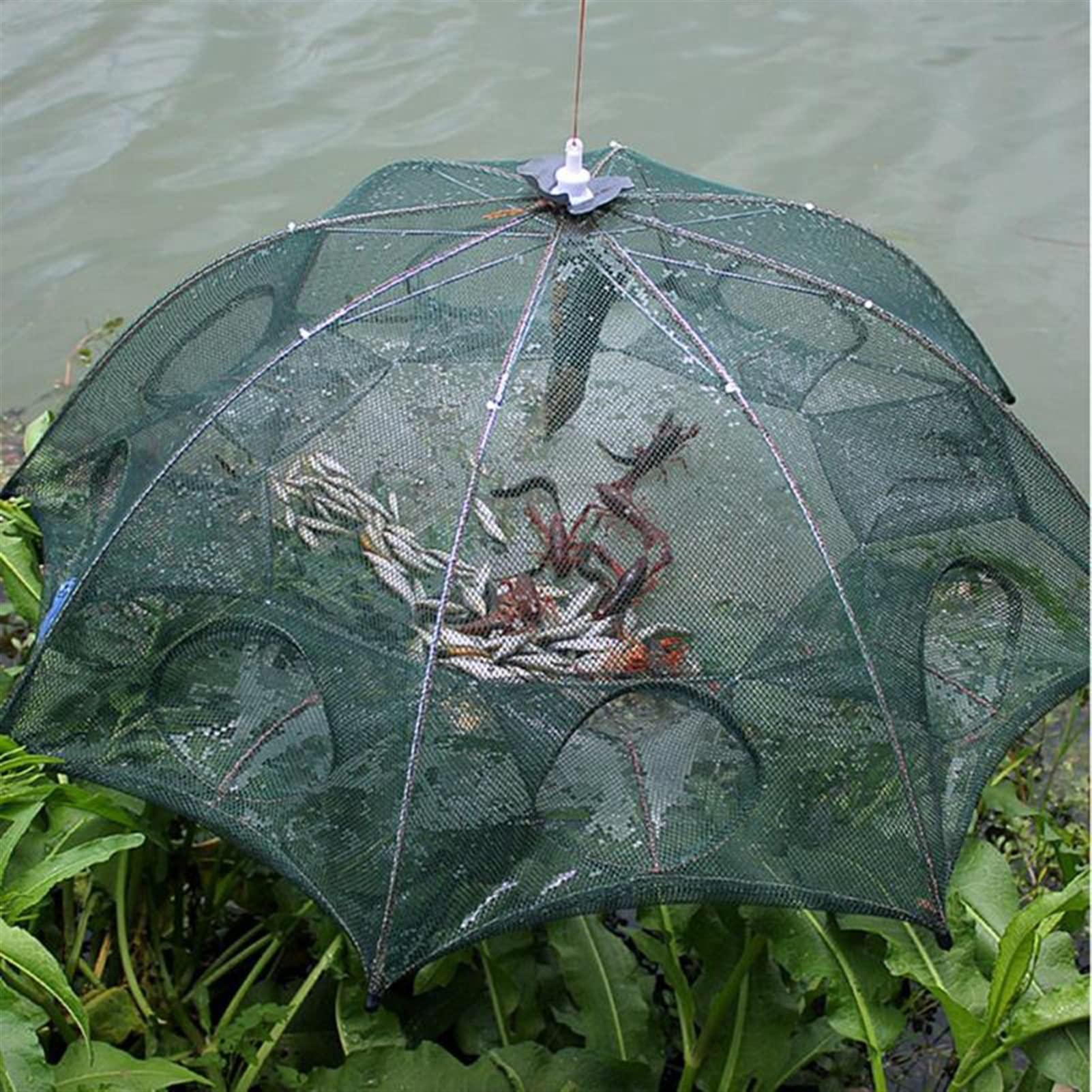 4/6/01/10/10/24/28 rafforzato 4-28 Fori Automatic Fishing Net Shrimp Cage Nylon Pieghevole Pieghevole Pesce Trappola Cast Net Pieghevole (Color : 28 Imports)