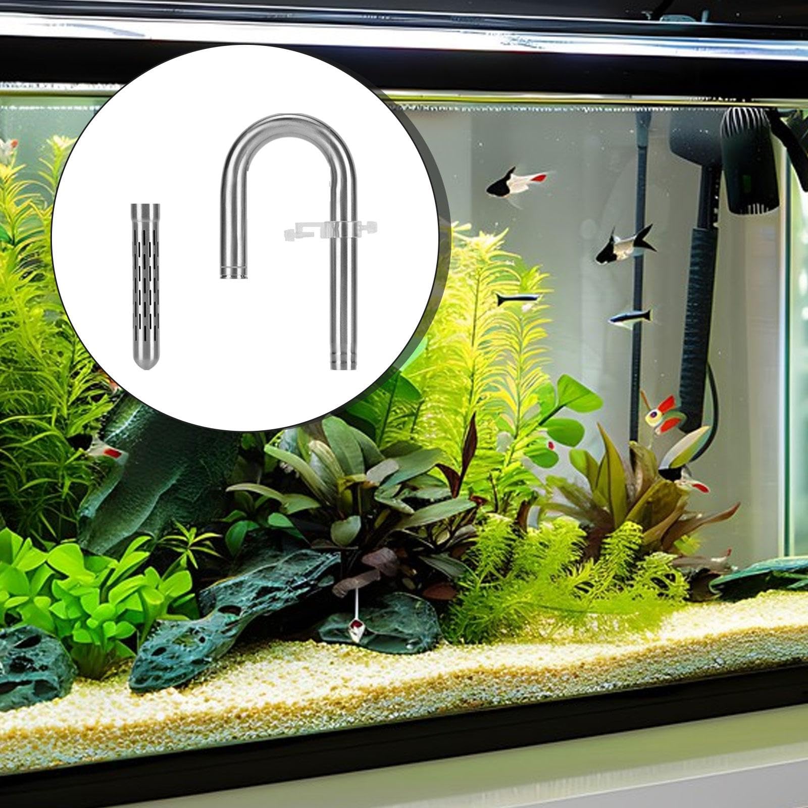 Aquatic Lily Rohr Set Edelstahl Aquarium Einlassrohr Universal Oberflächenabsauger mit Leicht Abnehmbarer Halterung für Süßwasserbecken Fischzu, 20 Wassereinlass