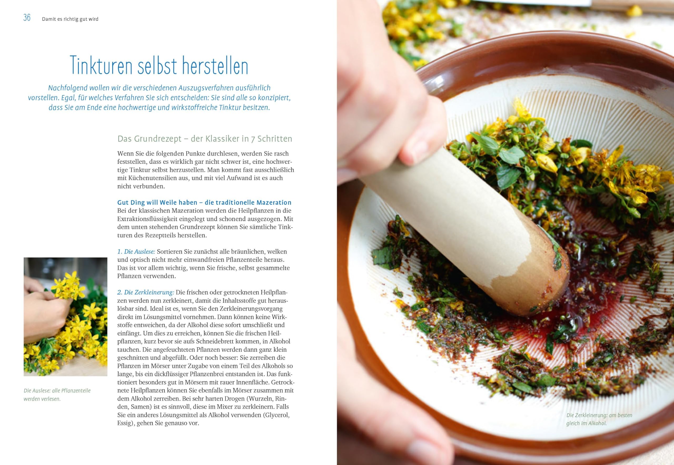 Heilpflanzen-Tinkturen: Wirksame Pflanzenauszüge selbst gemacht. Expertenwissen in über 70 Rezepten