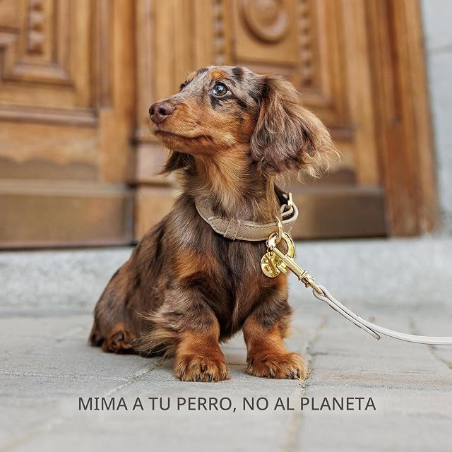 Foto 7 de 7 de NINA WOOF Correa de Cuero para Perro, Correa Delgada con herrajes Reforzados, diseño Europeo, Dorado, 4 pies