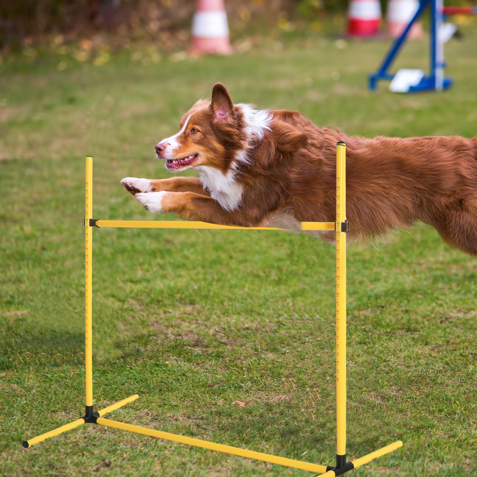 Hunde-Agility Hürdenset Mit 4 Höhen – Inkl. Aufbewahrungstasche Für Garten-Training