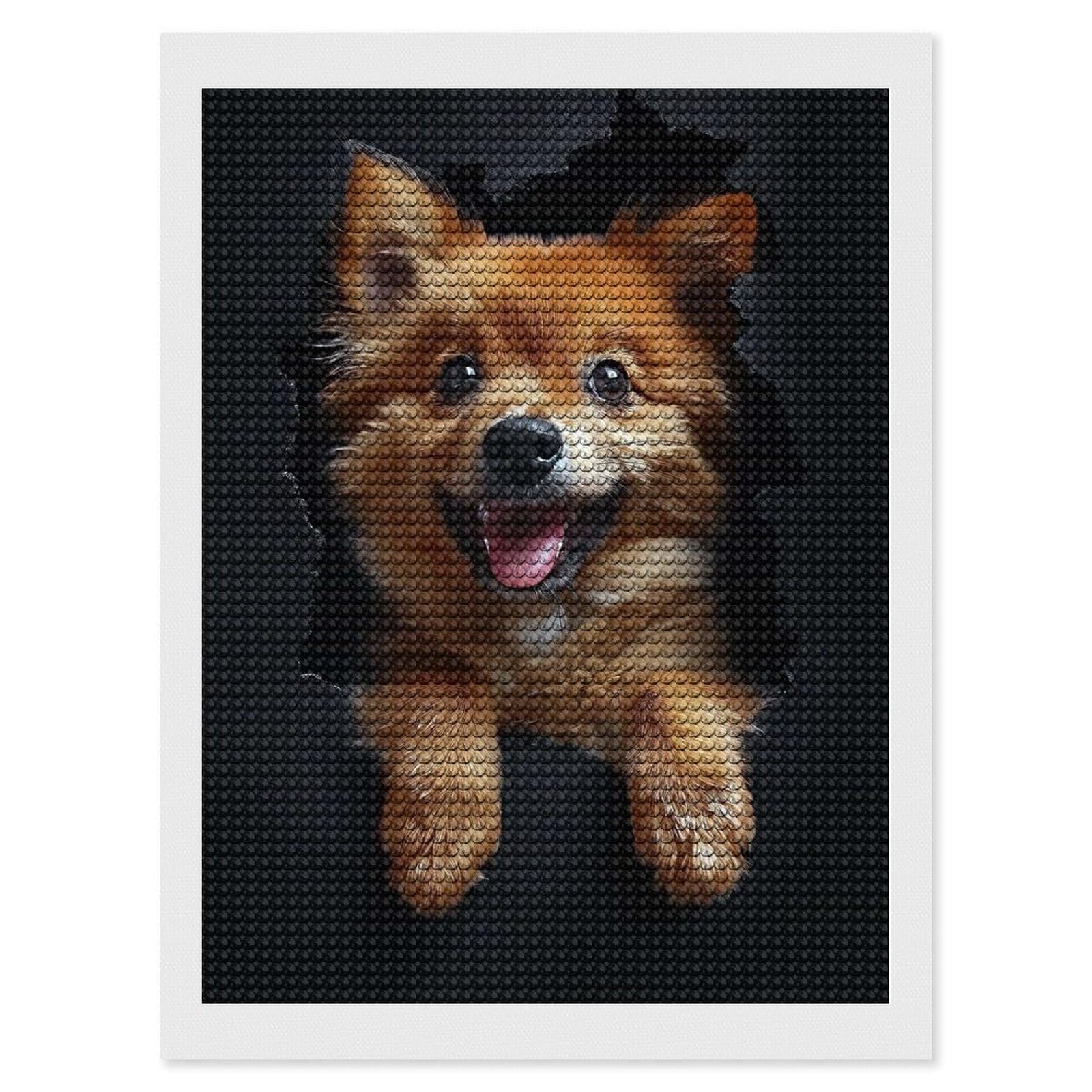 Junmoney Finnish Spitz Diamond Painting Canvas Set 12"x16", for Beginners, Complete Accessories, Christmas Gift, Modern Decor