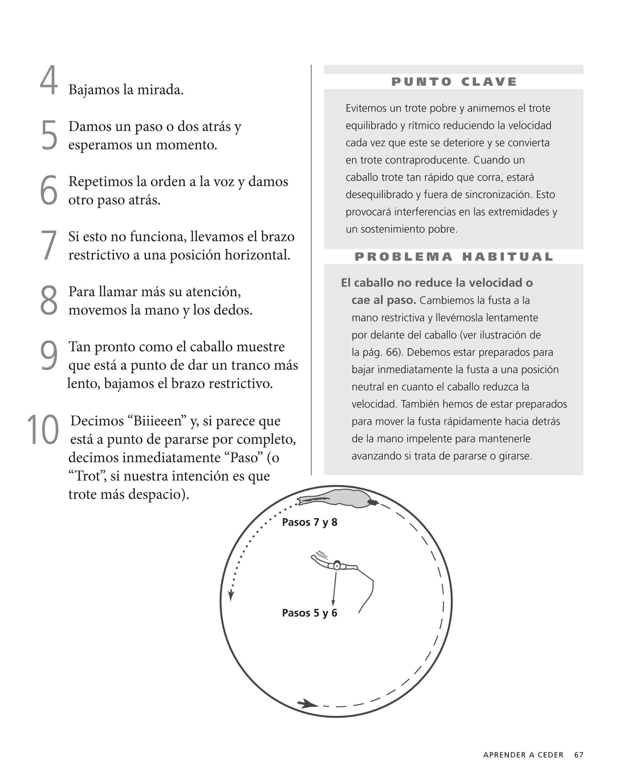 101 Ejercicios de entrenamiento pie a tierra. Para el caballo y el jinete (DEPORTES)