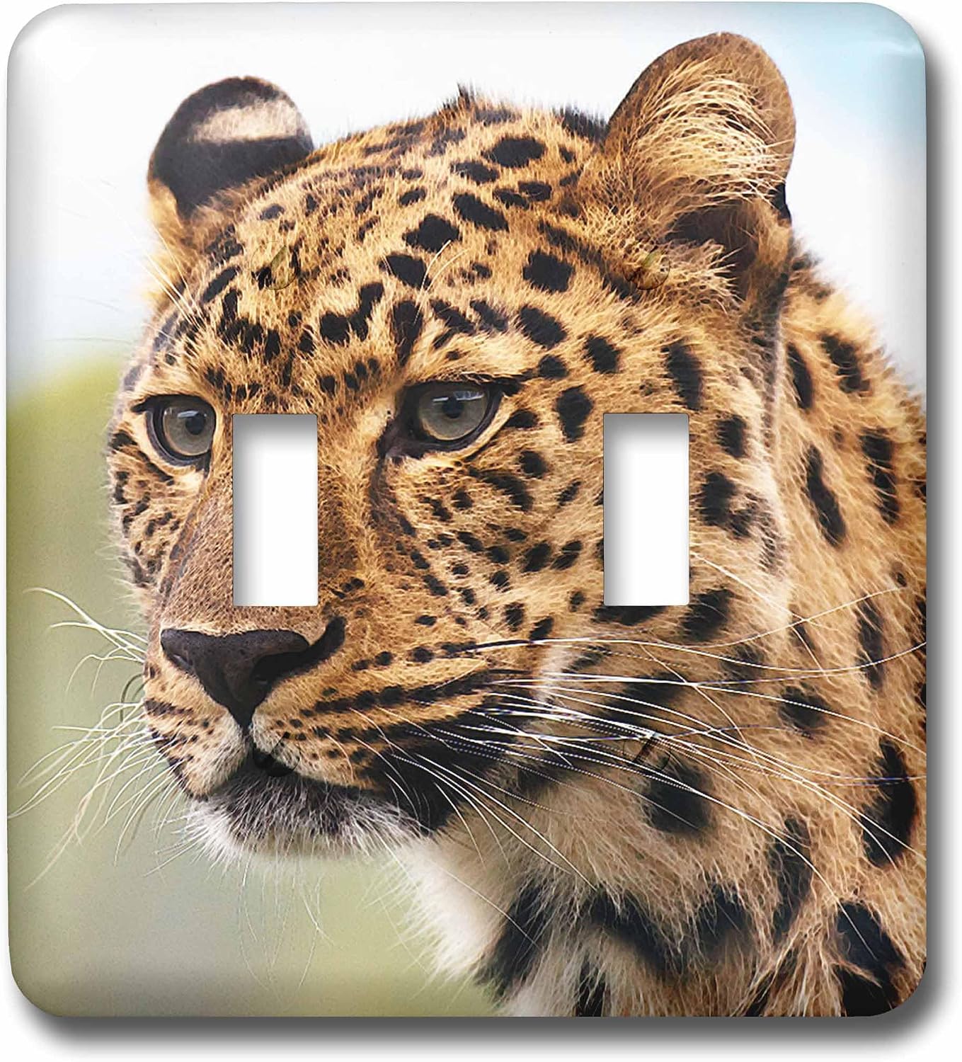 3dRose lsp_215188_2 Leopard, Wild Animal, Zoo - Double Toggle Switch