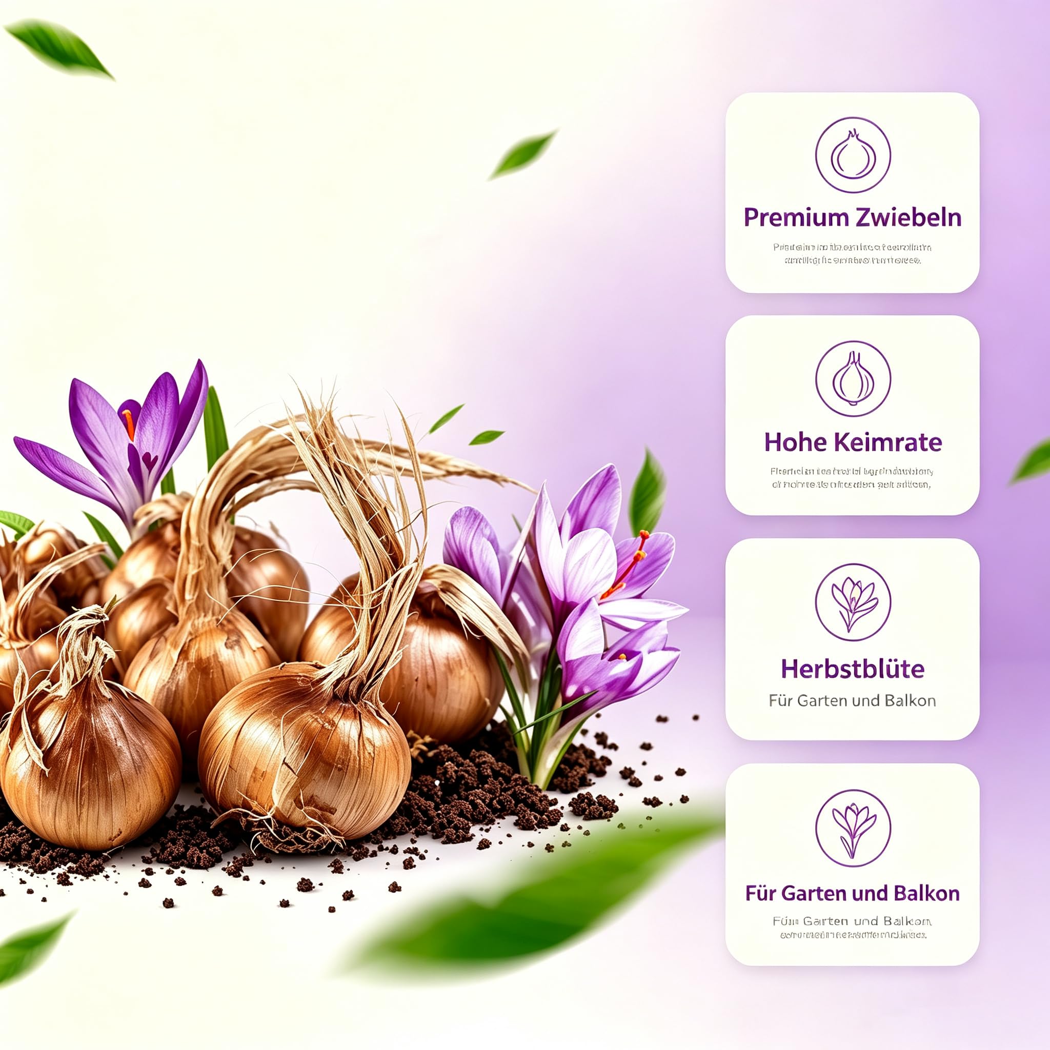 Krokusrhizom,GartenverschöNerung, Geeignet FüR AnfäNger-Top Kollektion-Premium Geschenke -Fachgerecht Gepflanzt-15Zwiebel