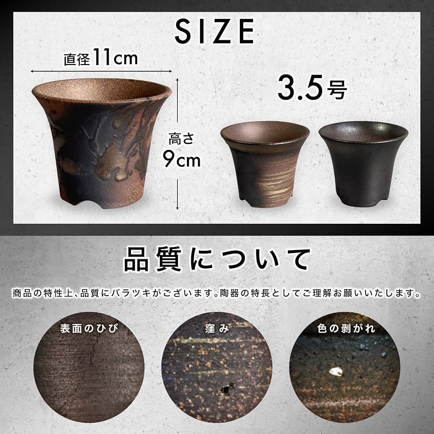 Amazon｜Kaiju Plant 萬古焼 3.5号 陶器鉢 ラッパ アガベ 多肉