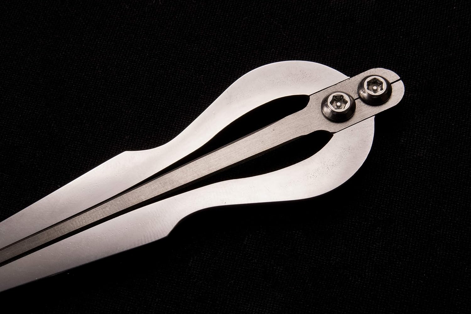 Jew's harp with case jaw harp mouth harp mondharp maultrommel by Dmitry Glazyrin "Wave" (Wizard)