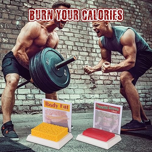 Miniatura 6 de SimCoach Réplica de grasa y músculo corporal humano, 1 libra, recordatorio de motivación para mantenerse en forma y fitness, modelo de grasa