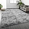 Amazon.com: Fluffy Area Rug Living Room: Grey Shag Rug 6x9 Plush Rugs ...