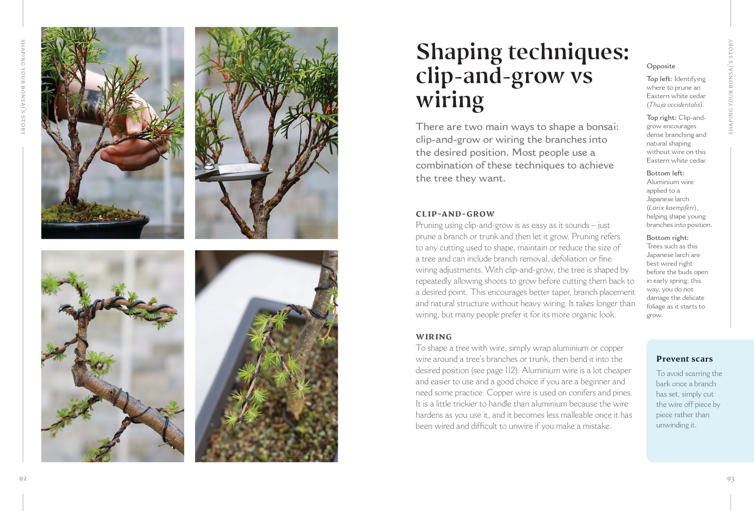 The Happy Bonsai Handbook: Essential advice and easy techniques for bonsai beginners and beyond