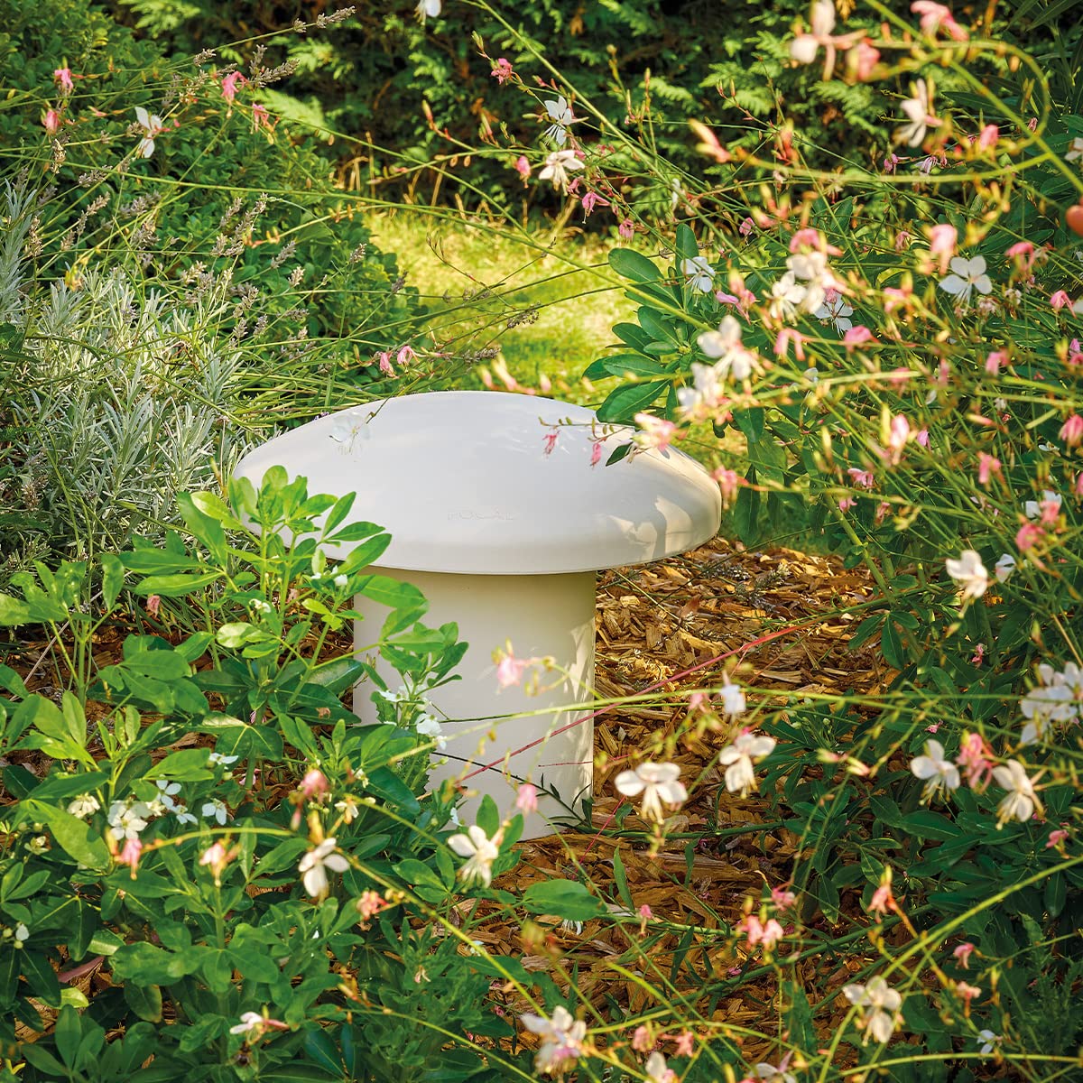 Focal FBUNDLE41L Littora Series Outdoor 5