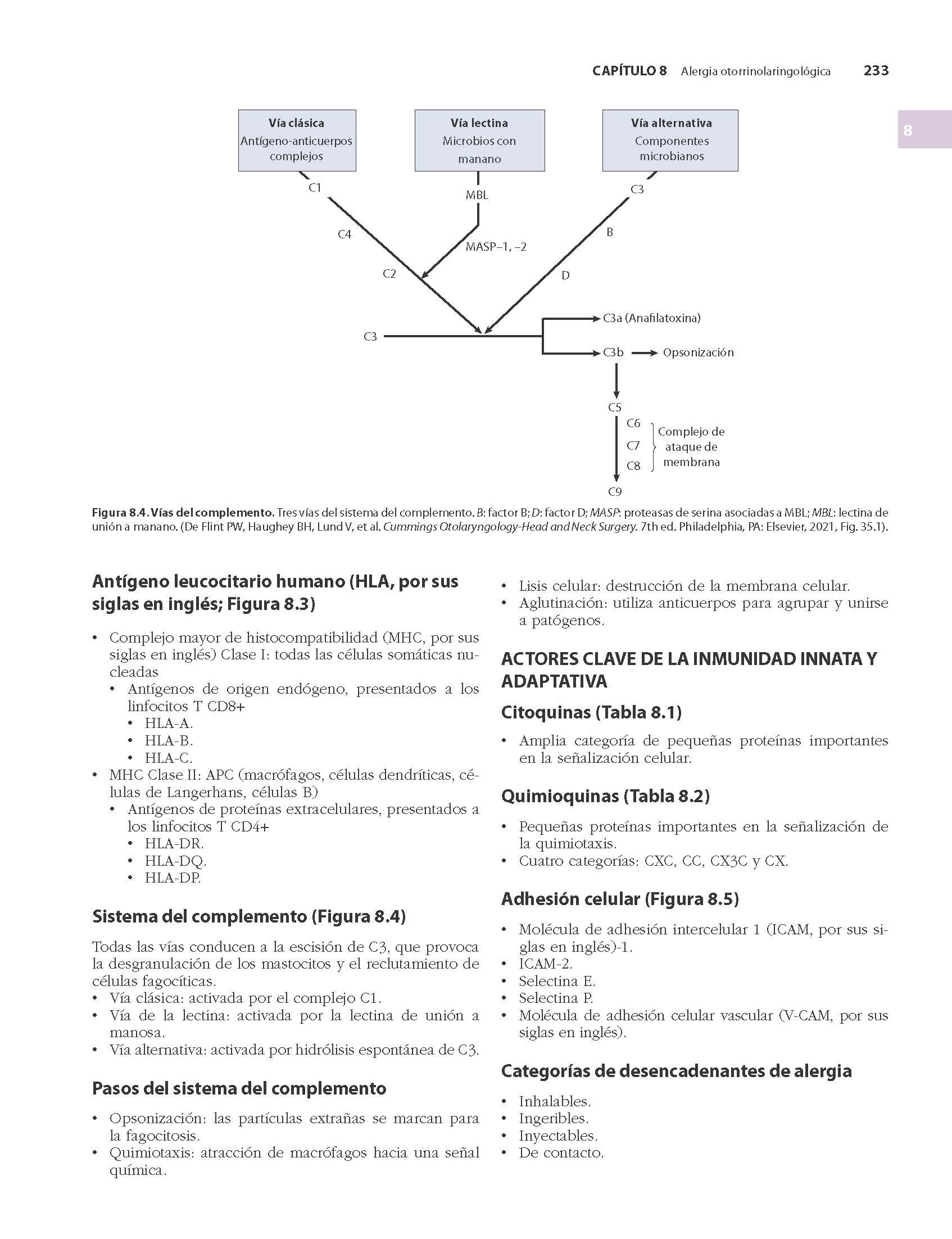 Revisión de Otorrinolaringología de CUMMINGS