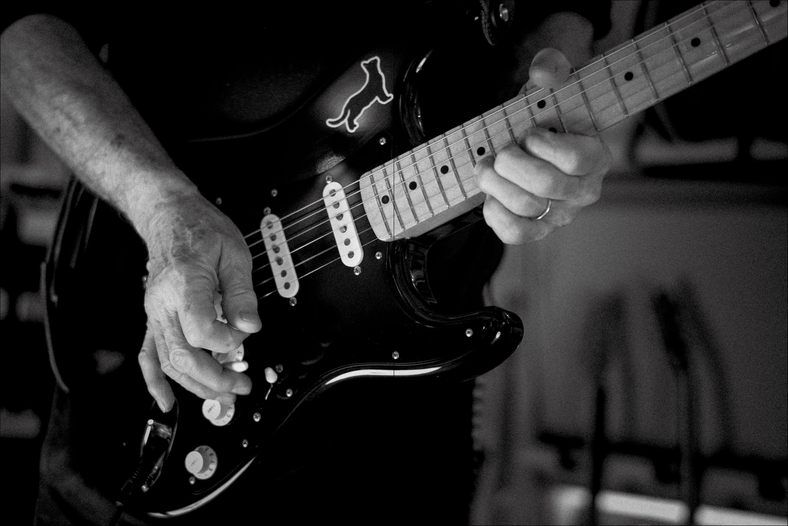 David Gilmour Luck and Strange Studio/Live /anglais