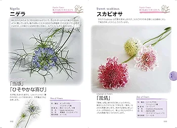 紫寶珠『愛の誕生花占い』 紫寶珠『愛の誕生花占い』 Amazon.co.jp: 愛の誕生花占い :