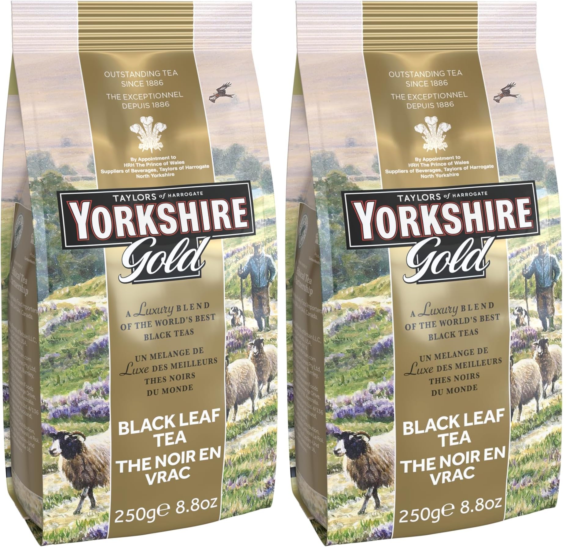 Taylors of Harrogate Yorkshire Gold Loose Leaf, 8.8 Ounce (Pack of 2)