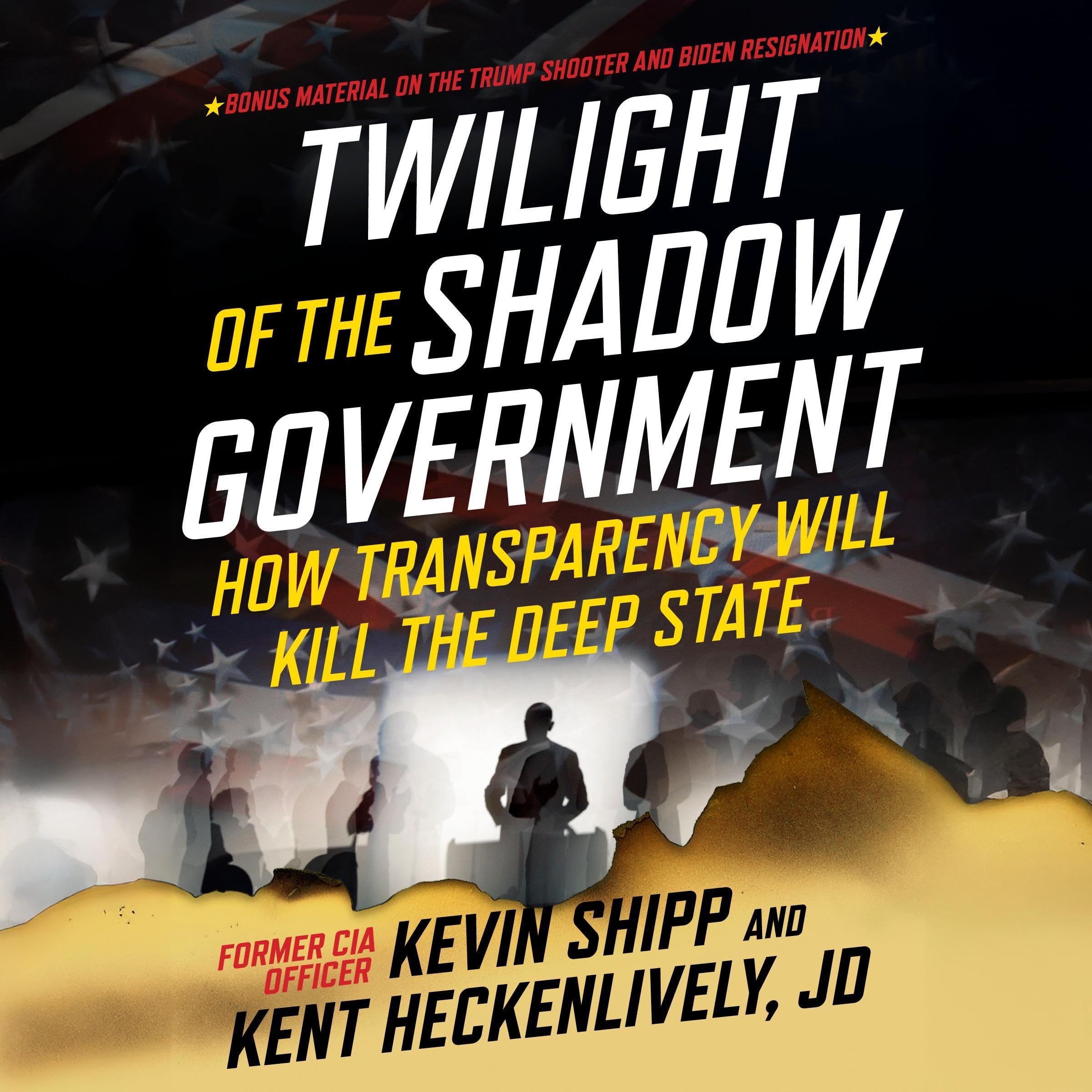 Cover art for Twilight of the Shadow Government