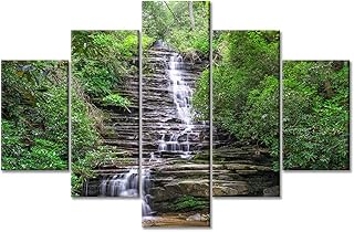 TUMOVO Wall Decorations for Living Room Panther Falls Wall Paintings Premium Quality Artwork 5 Panel The Tallulah River Room Decor Modern House Decor Framed and Stretched Ready to Hang (60''Wx 40''H)
