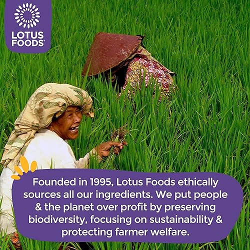 Miniatura 15 de Lotus Foods Bulk Food - Fideos ramen orgánicos de mijo y arroz integral, sin gluten, certificado orgánico USDA, Kosher, sin OMG y ramen de arroz