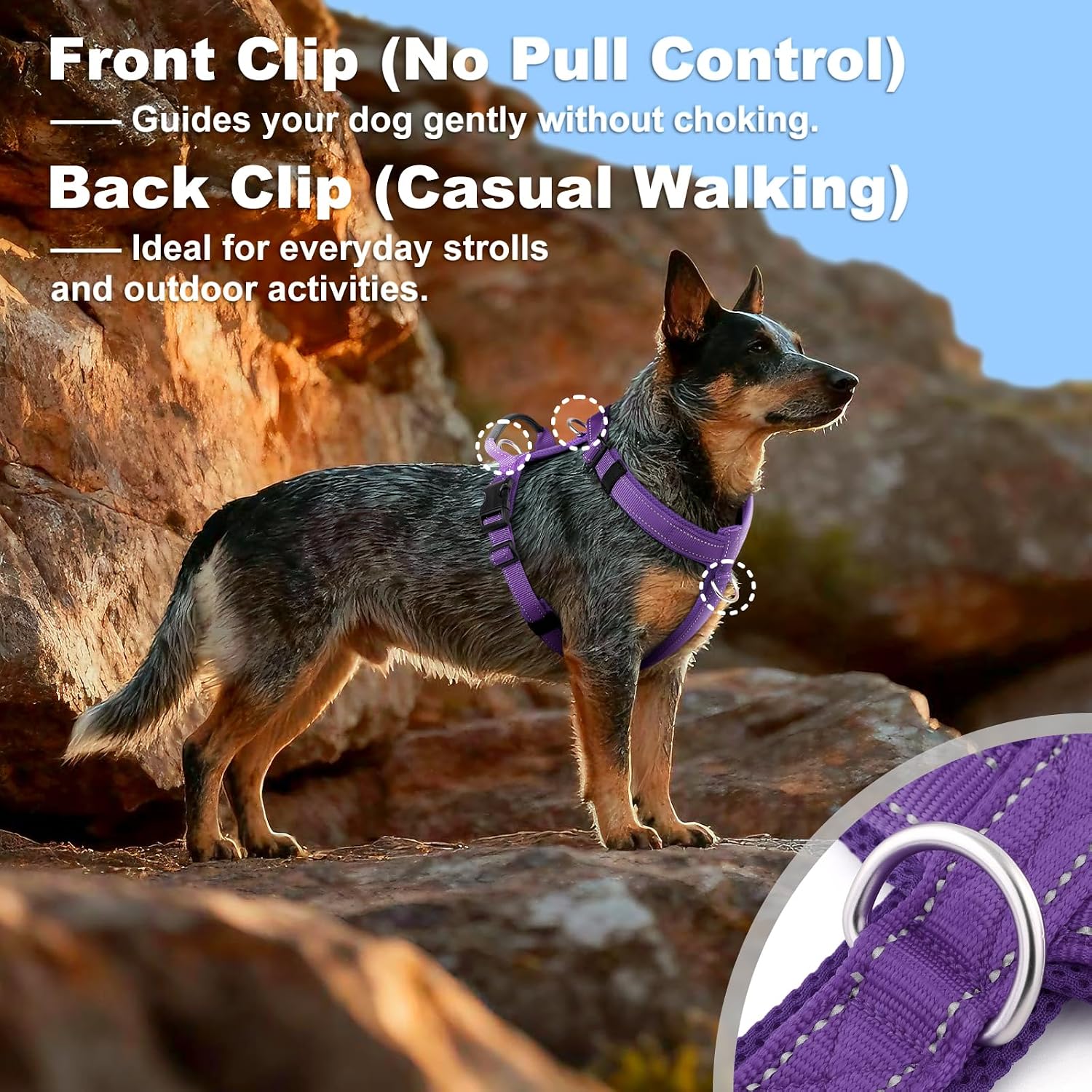 No Pull Dog Harness with Handle, Reflective Soft Mesh Padded Vest image 4