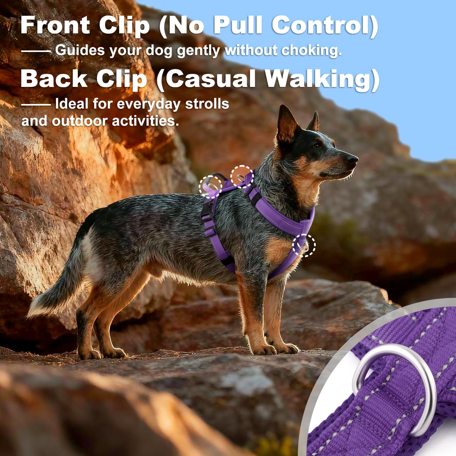 Arnés para perro sin tirones con asa, malla suave acolchada ajustable para perros pequeños, medianos y grandes, arnés reflectante para caminar fácil con clip frontal para entrenamiento, correr