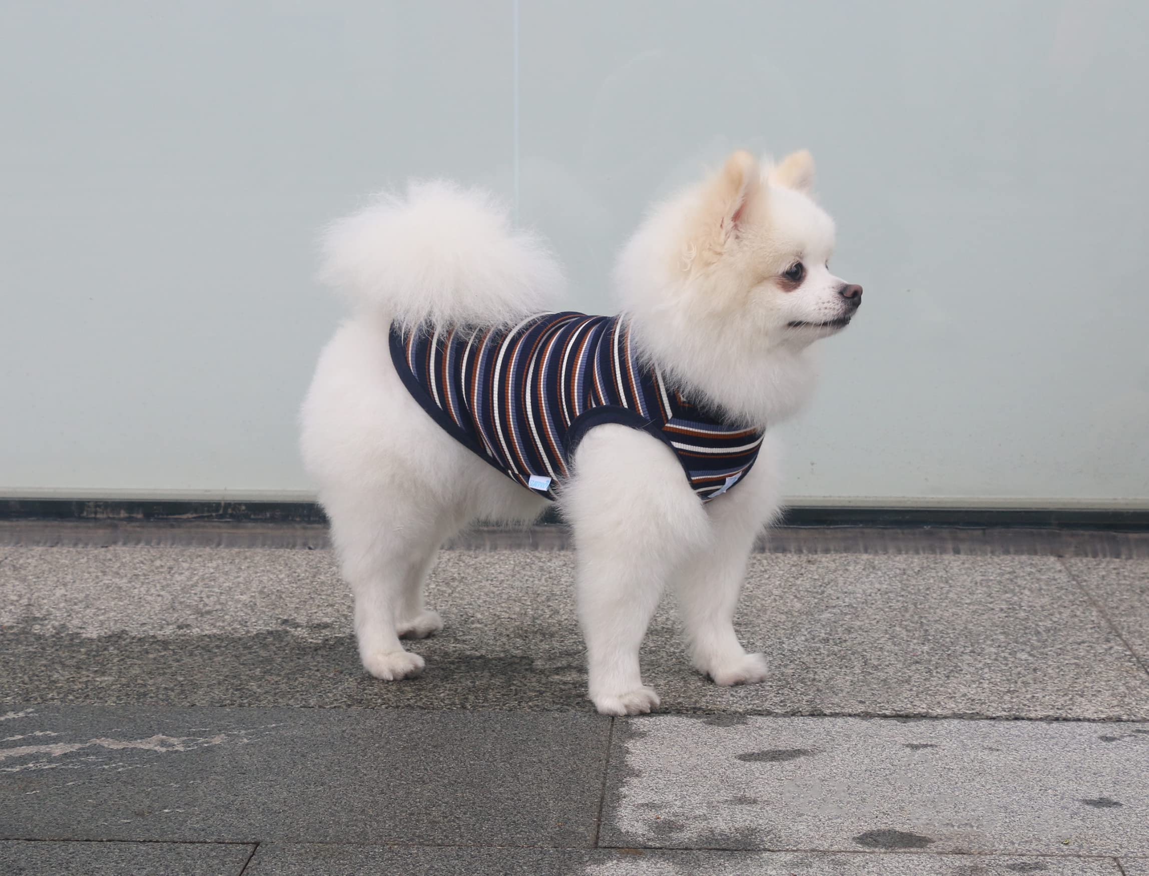 Camisetas de té a rayas para perros y mascotas, chaleco sin mangas 100% algodón para perros y gatos pequeños, ropa para cachorros Chihuahua, Yorkie Azul Negro, 3XS