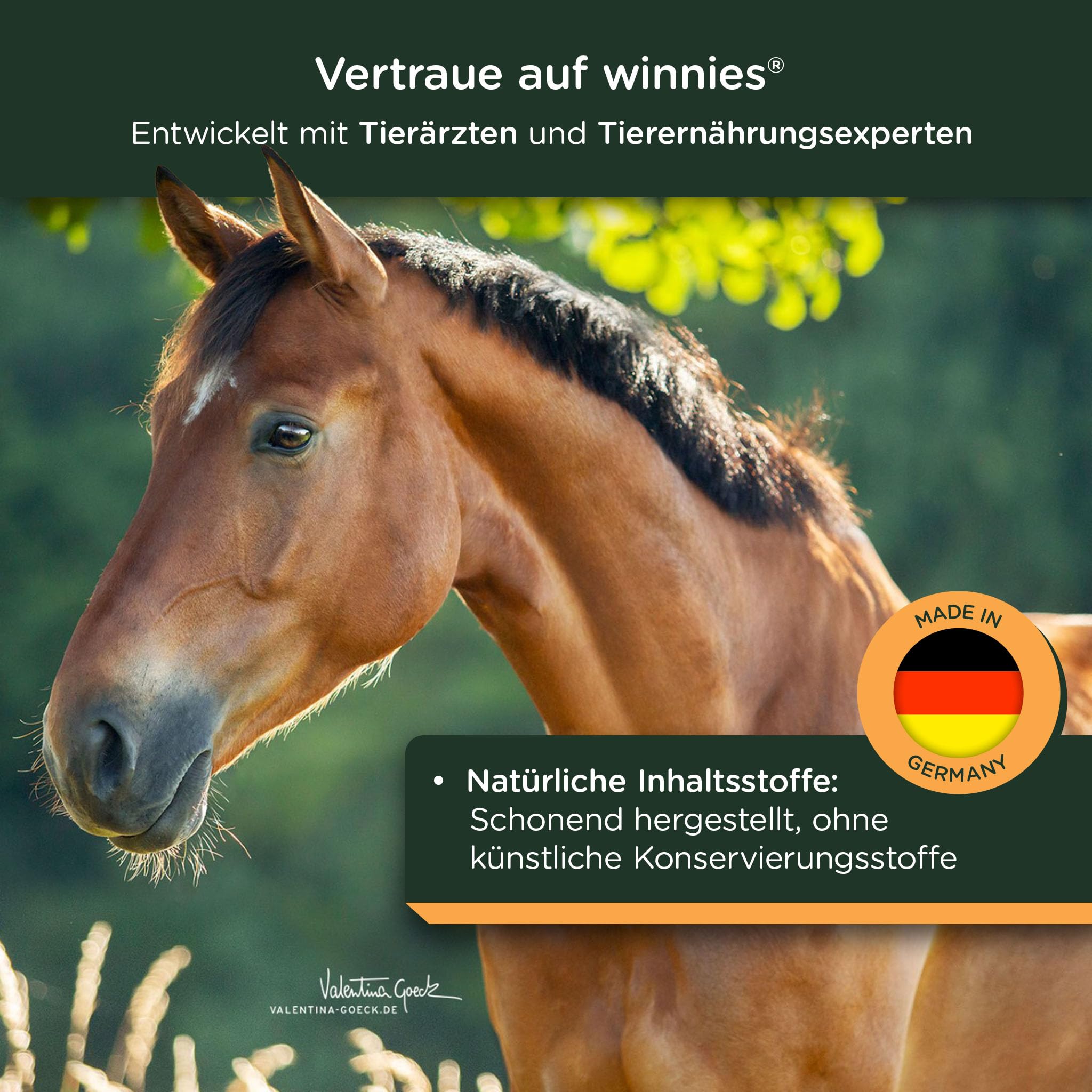 winnies® Trojaner Tabletten-Versteck für Pferde – gebackener Leinsamen-Fenchel-Stick mit Tablettenkammer – stressfrei – getreidefreies Ergänzungsmittel – ideal bei PPID/Cushing – 500 g
