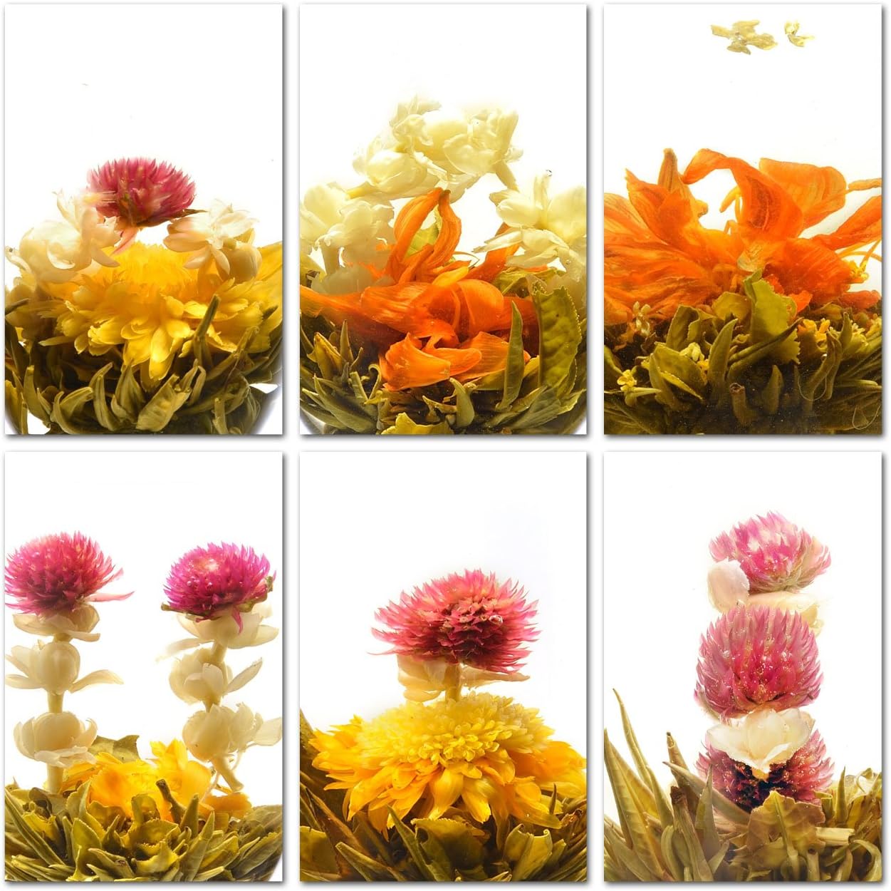 Teavivre6pcs Handmade Blooming Flower Tea - Assorted Flowering Green Tea Ball - 6 Unique Varieties of Individually Sealed Tea Ball