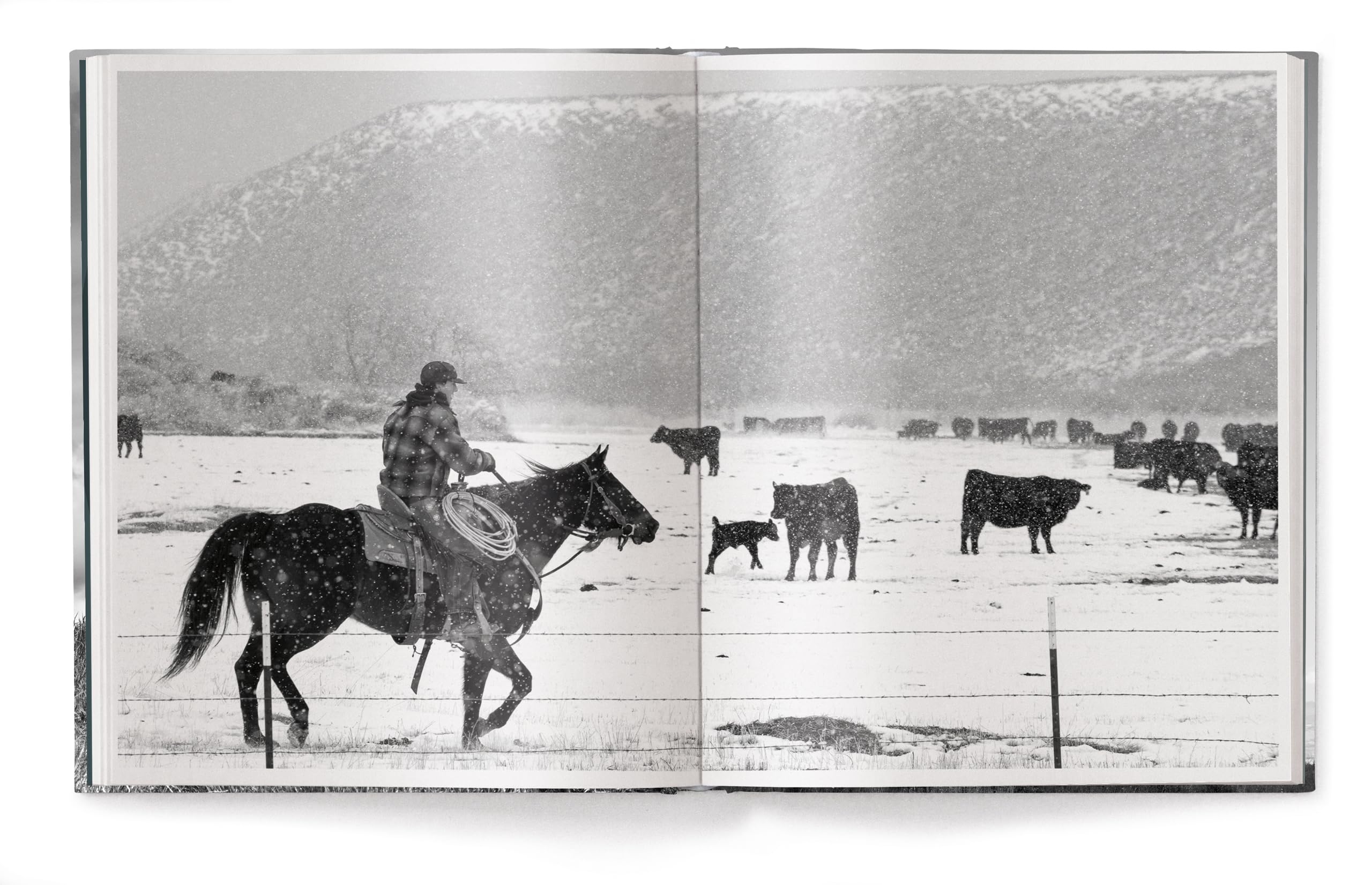 A Ranch Year: Cowboys of the West
