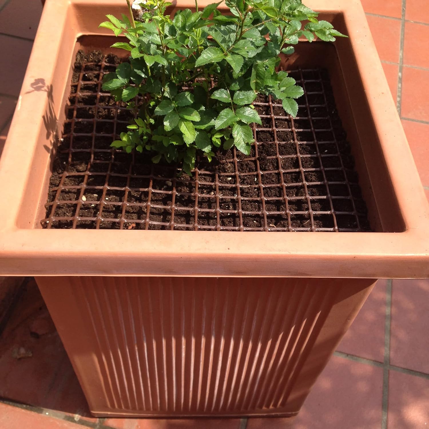 TENAX Quadra 10 Brown 1 x 3 m Plastic Protective Net for Balconies, Patios, Gates and Fences