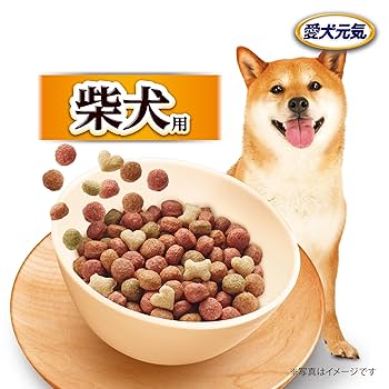 □豆柴　プロフ必須さま専用愛犬ちゃん2体ミニチュアオーダー確認用ページ□愛犬雑貨 □豆柴 プロフ必須さま専用愛犬ちゃん2体ミニチュアオーダー確認