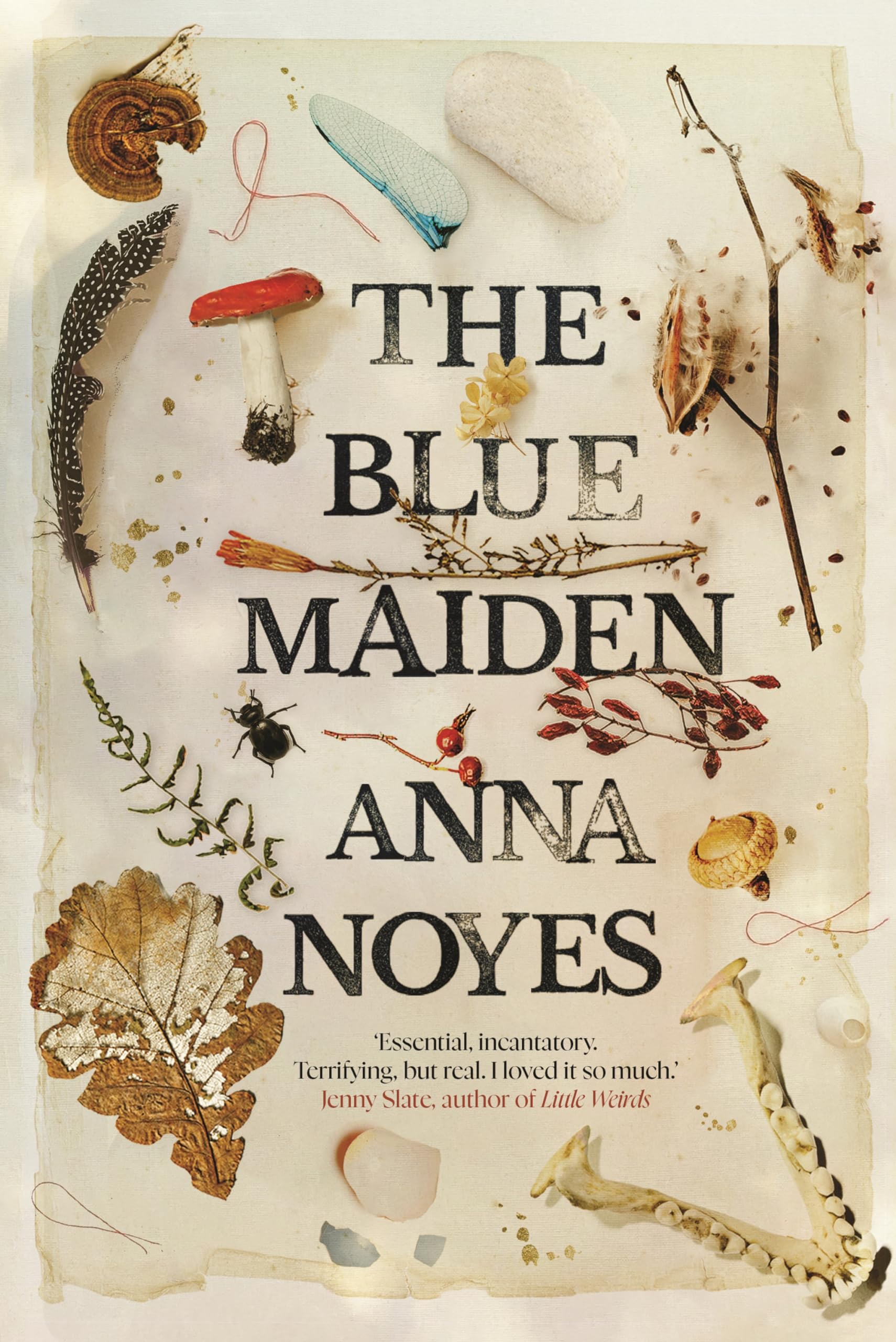 The Blue Maiden : A dazzling feminist gothic about witches, loss and resilience
