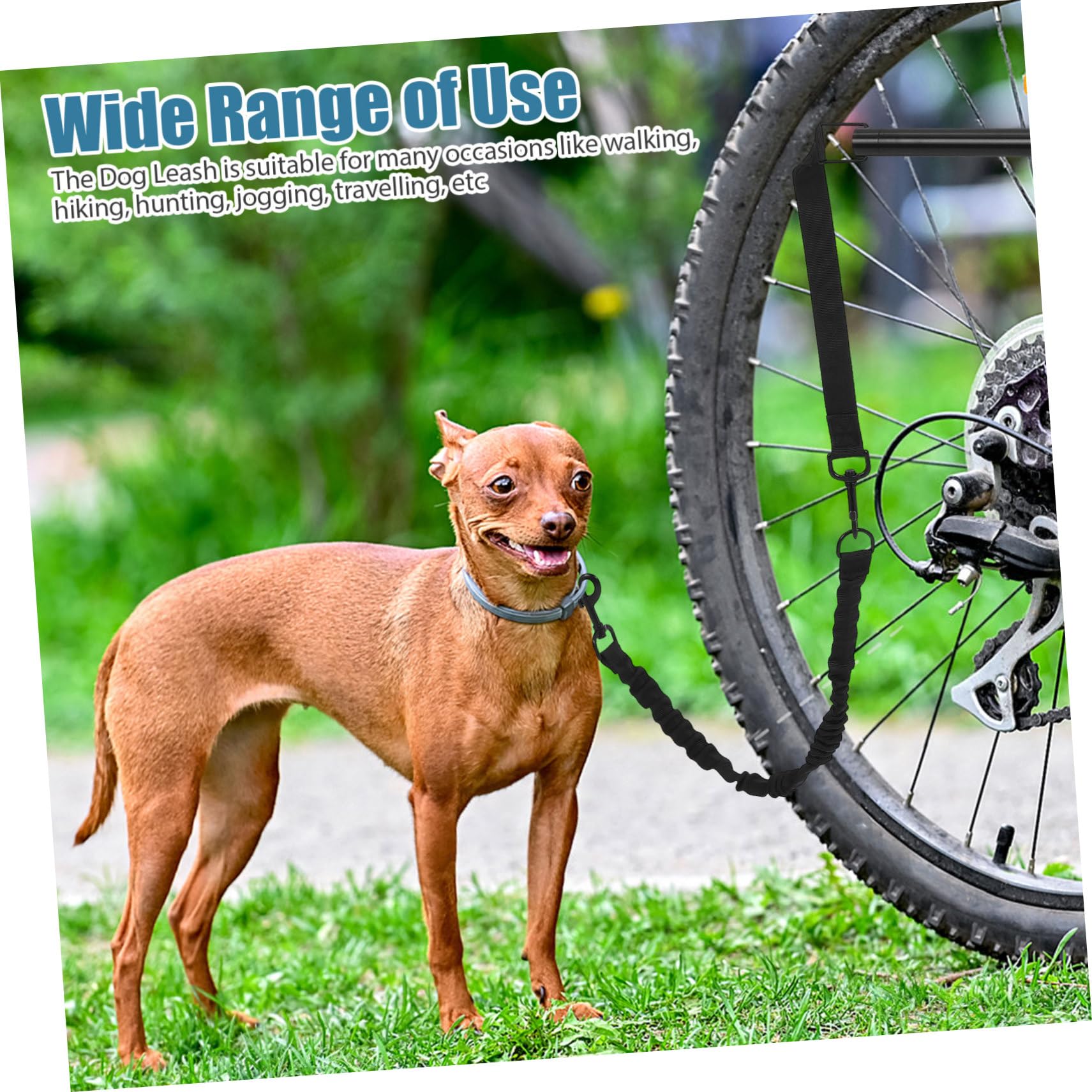 Guinzaglio per Cani da Bici Retrattile Nero in Oxford Cloth e Lega | Cani Piccoli e Medi, Cinturino Confortevole ed Ergonomico, Adatto per Viaggi e Hiking