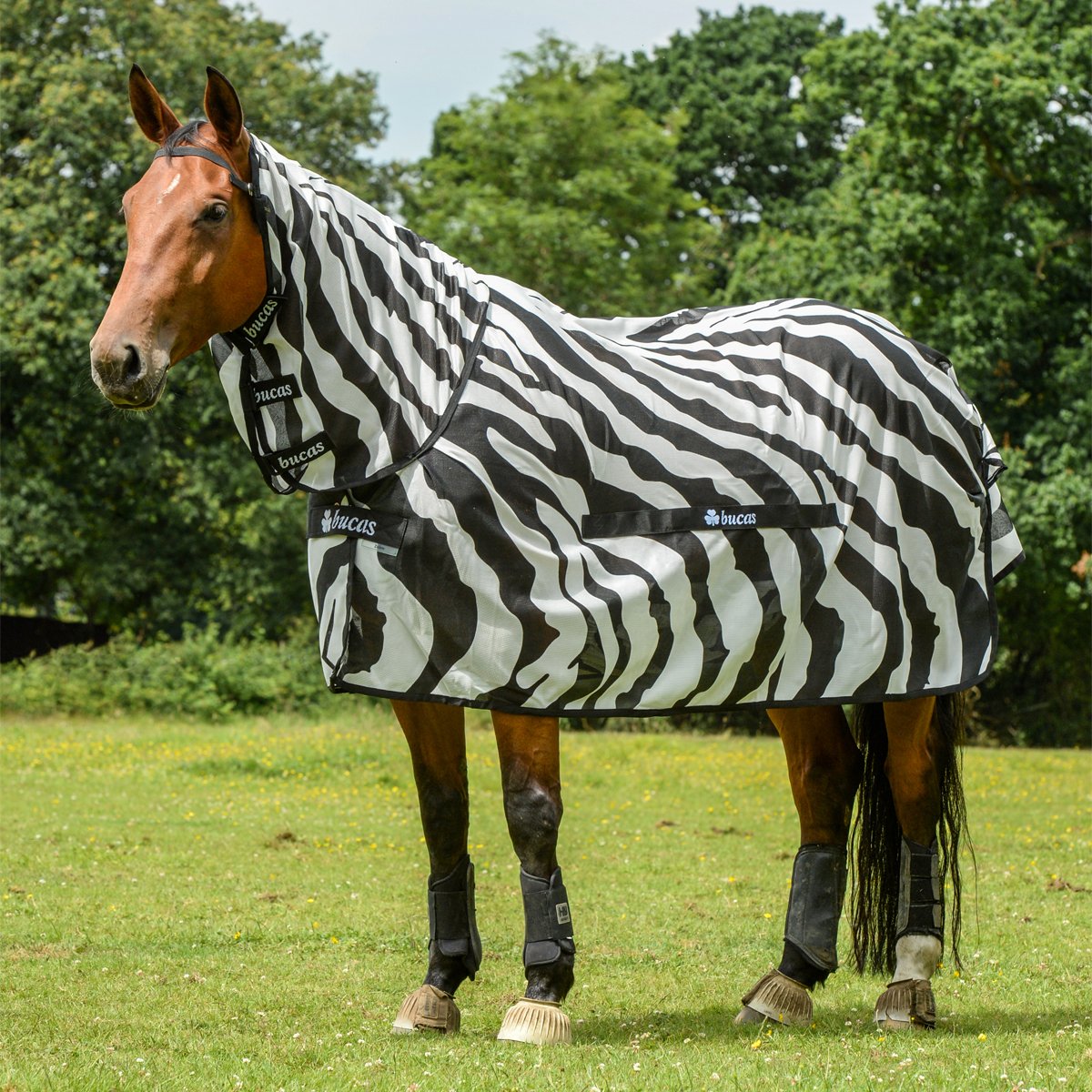 Bucas Buzz-Off Fliegendecke Zebra Full-Neck, 155