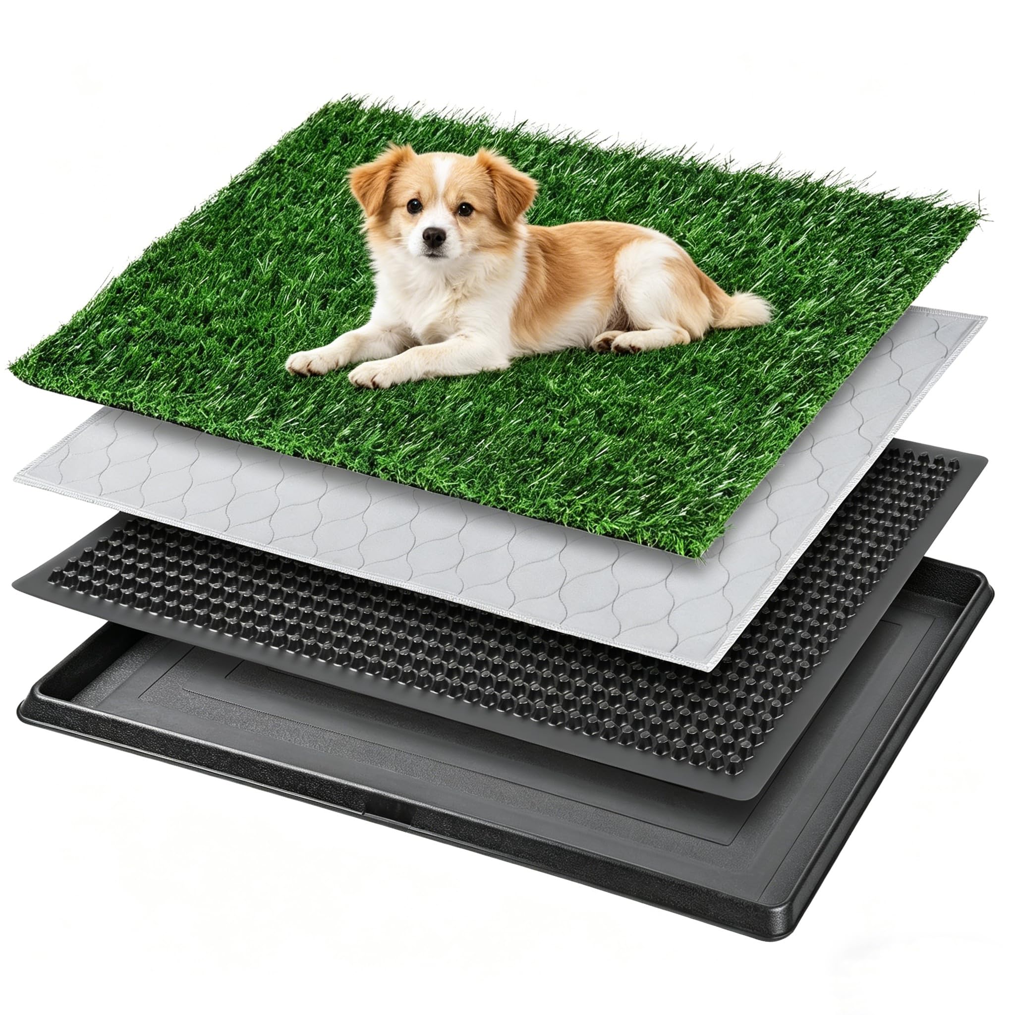 60X90CM Inodoro para Perros, Pipican para Perros en Casa,Alfombrilla Reutilizable para Perros, para Perros pequeños, Grandes y Mayores