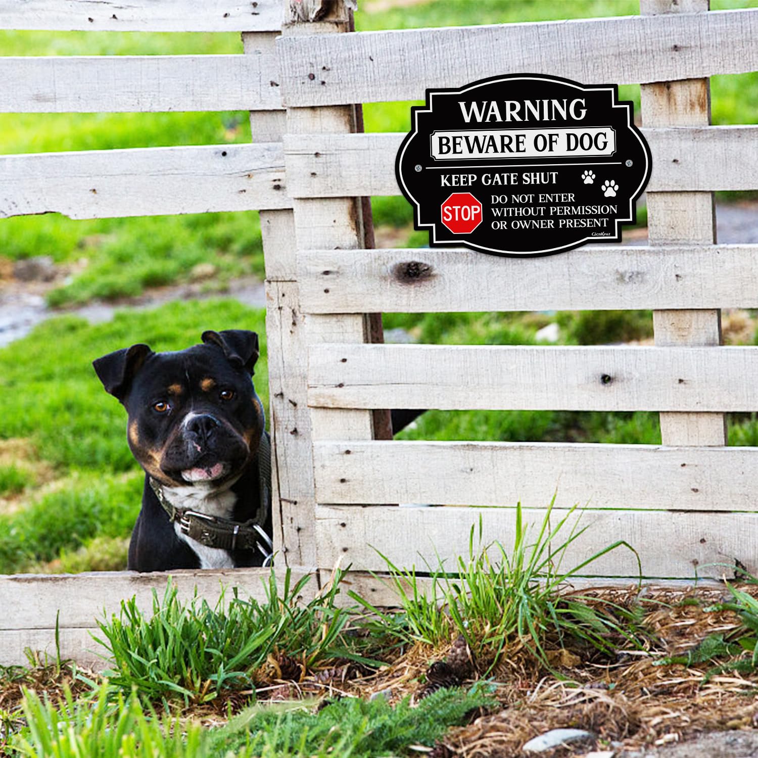 2er-Pack 'Beware Of Dog' Schilder – Aluminium, 24,1x17,8 Cm, Reflektierend & Wetterfest Für Zaun & Tor