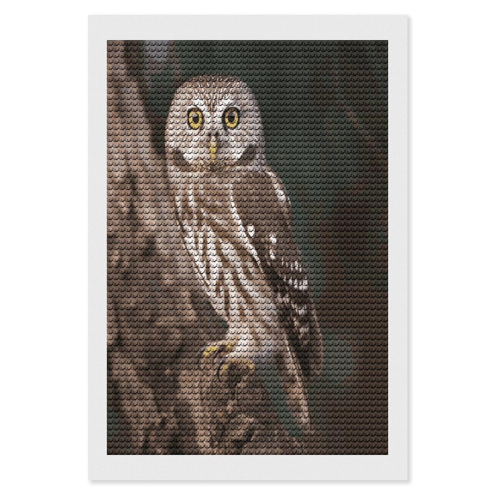 JTREHY Wildlife Animal Owl Diamond Art Kits Personalized DIY Round Diamond Painting Kits for Beginner Full Drill Diamonds Dots Paintings for Adults Gem Art Crafts Home Decor