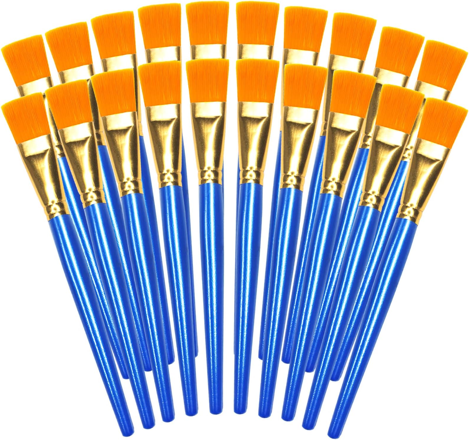 20Pcs 1 inch Flat Paint Brushes for Acrylic Painting,Big