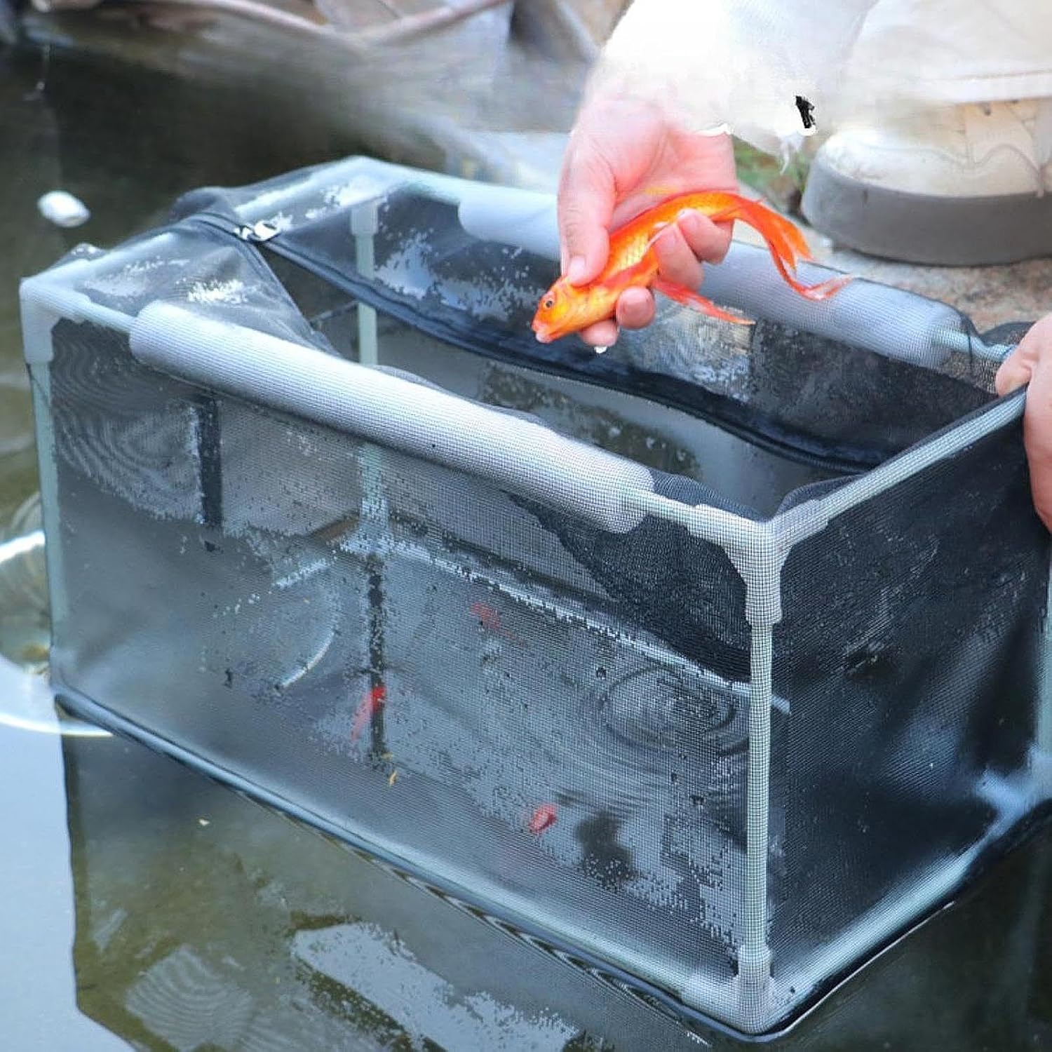 Aquarium Separation Net Breeding Box Pp Frame Multifunctional Nylon Mesh for Fish Spawn Hatchery Lightweight Accessories, 62x32x32cm