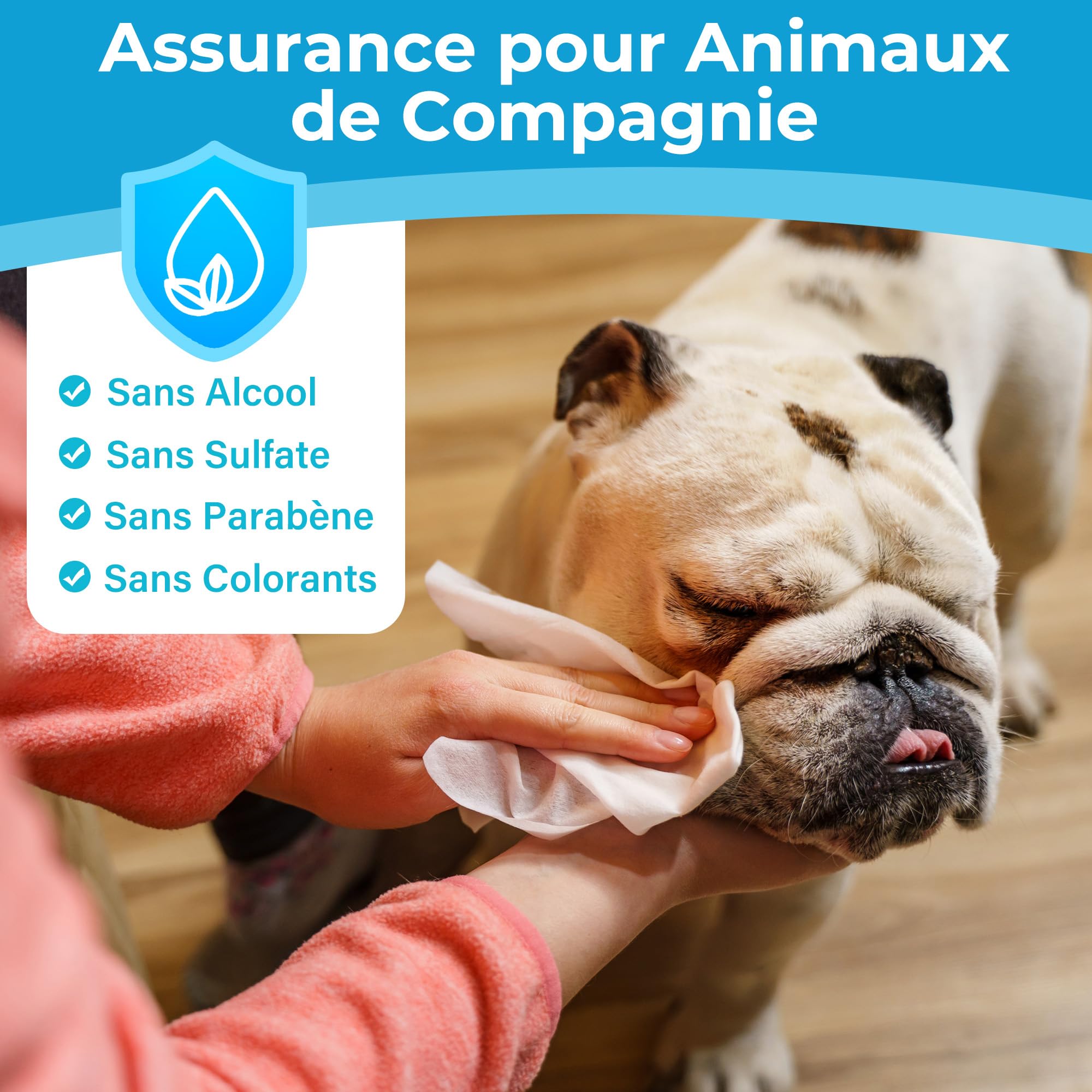 PrimePets Lingette Chien 600 Lingettes Nettoyantes pour Chiens Chats Animaux Domestique, Lot de 6 pour Nettoie Pattes Yeux Oreilles sans Parfum