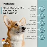 Ver la foto 5