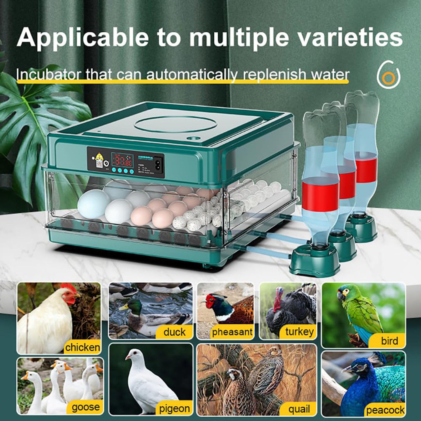 Criadora Automática Digital Para Pollos, Incubadora De Huevos Profesional, Espaciado Ajustable + Giro Automático De Huevos + Control De Temperatura + Reposición De Agua,24eggs