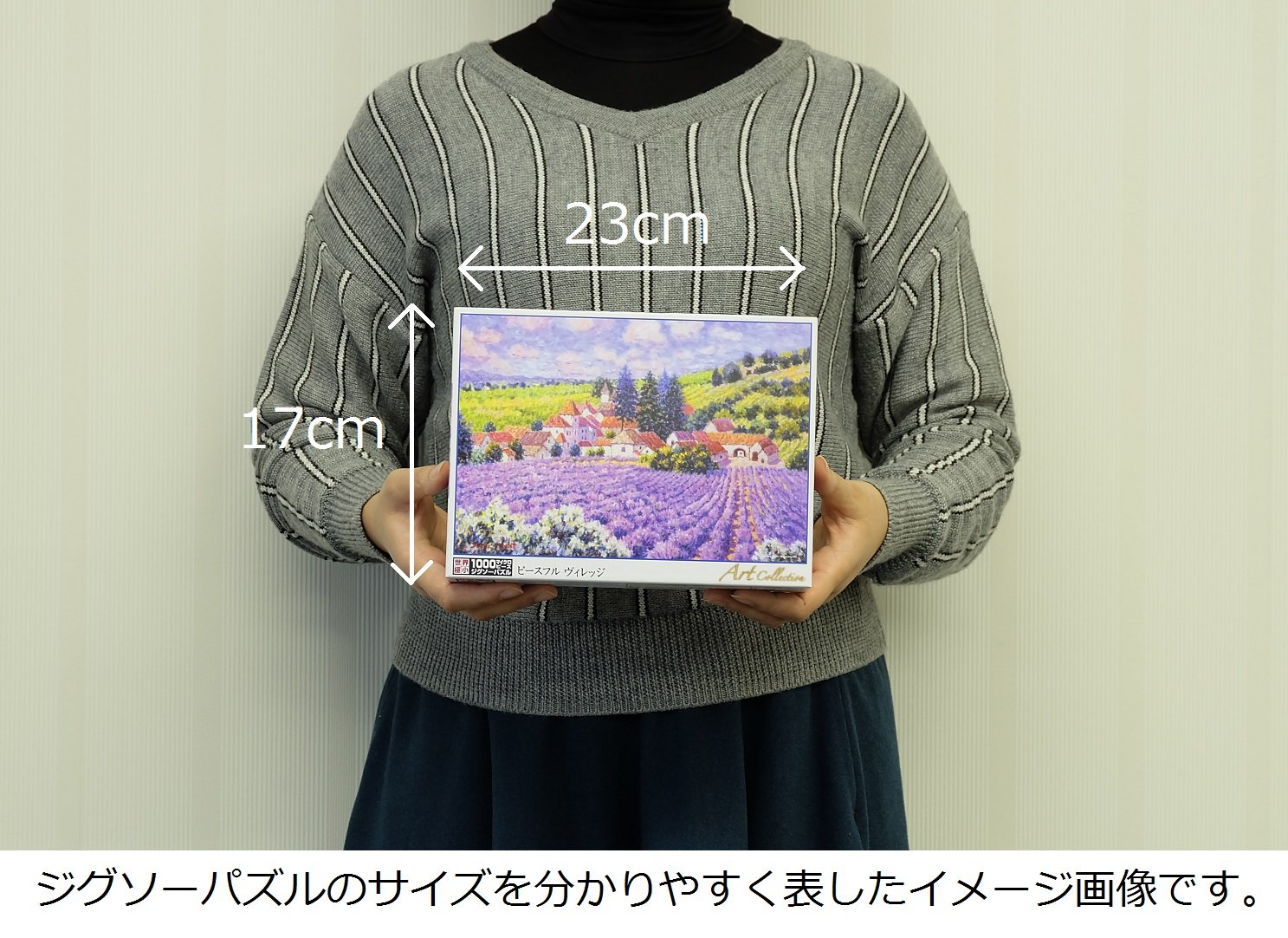 1000 piece jigsaw puzzle peacefull village world micro micro piece (26x38cm)