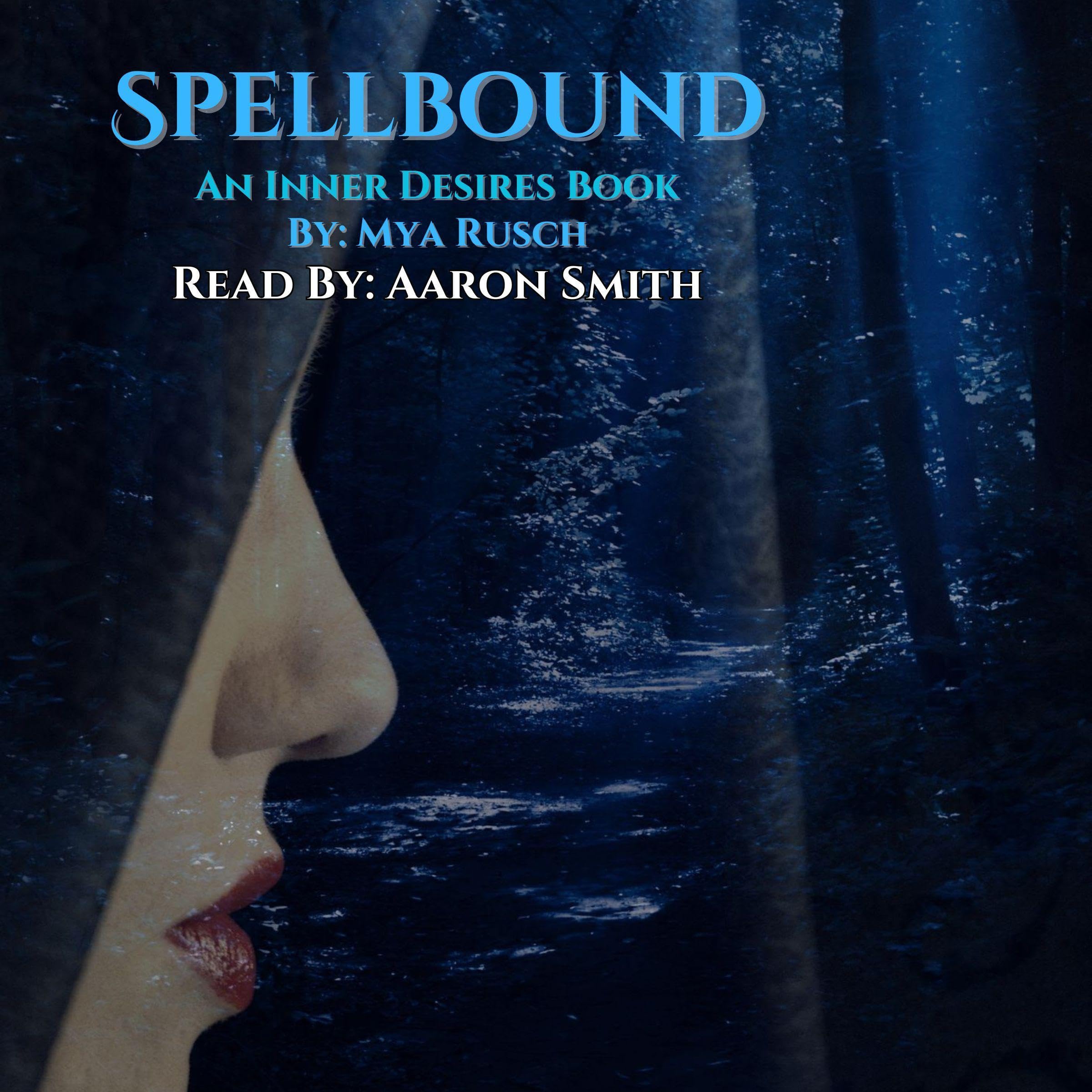 Cover art for Spellbound: Inner Desires, Series 13