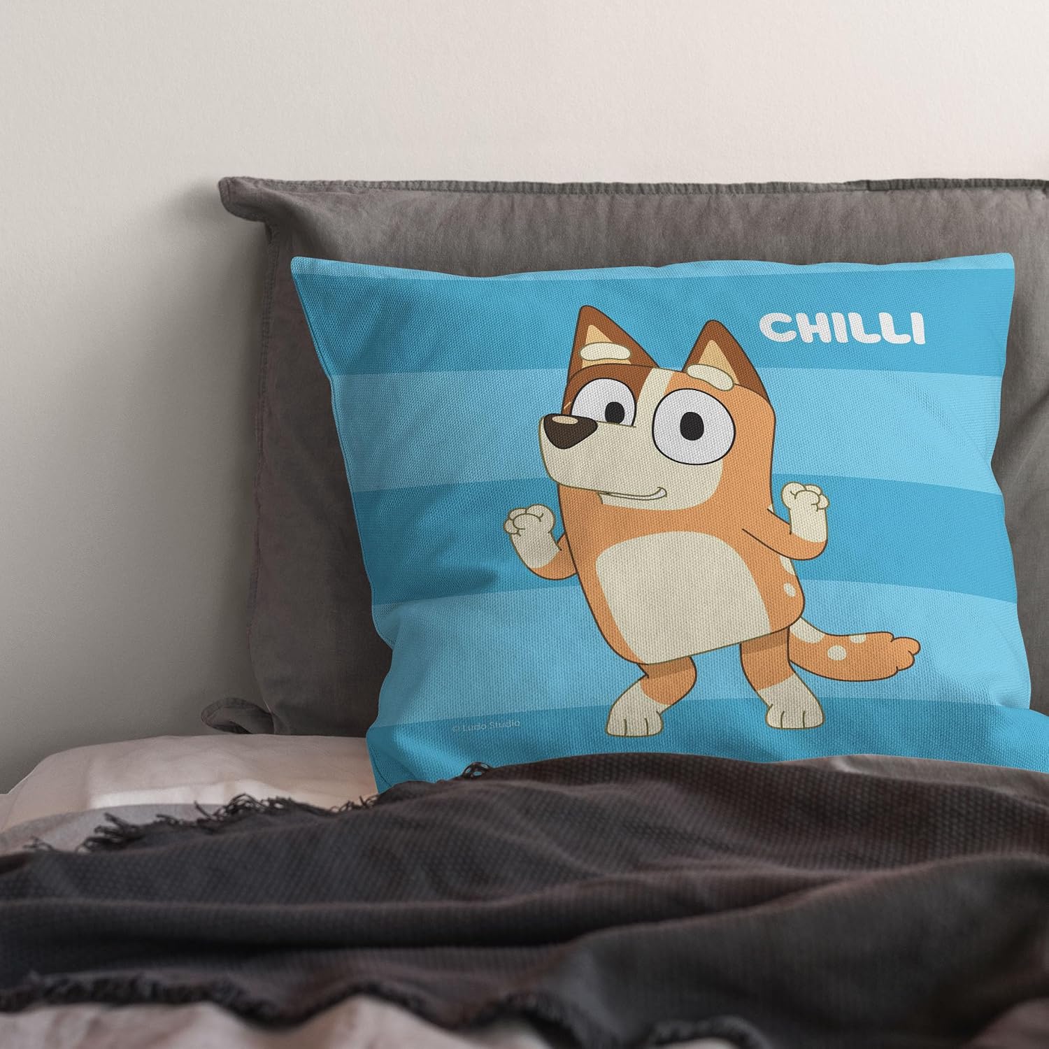 Northwest Bluey Pillow, 18" x 18", Roll Call Chilli