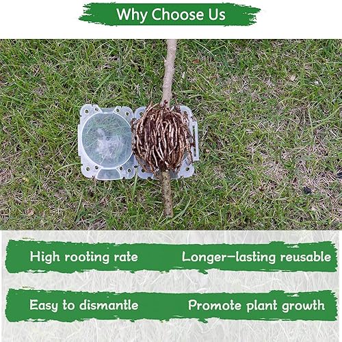 Miniatura 5 de SupKing Enraizamiento de plantas Bola de propagación de crecimiento pequeña, Enraizamiento de corte asistido negro, Dispositivo de enraizamiento de