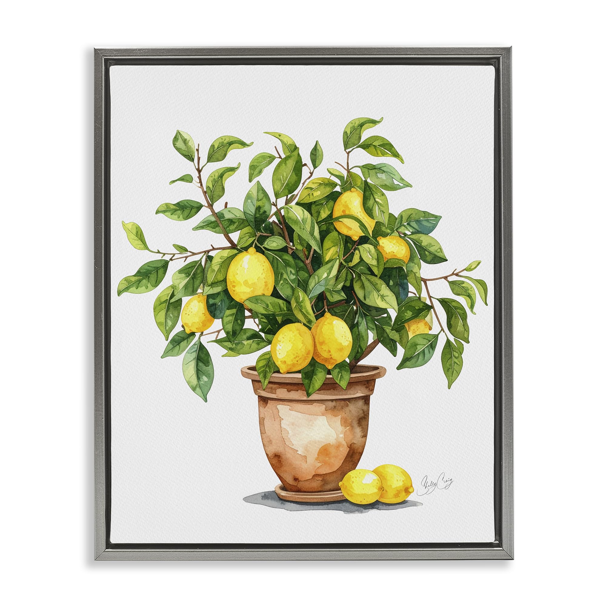 Potted Lemon Tree Botanical, 16 x 20 Inch Canvas in Floater Frame