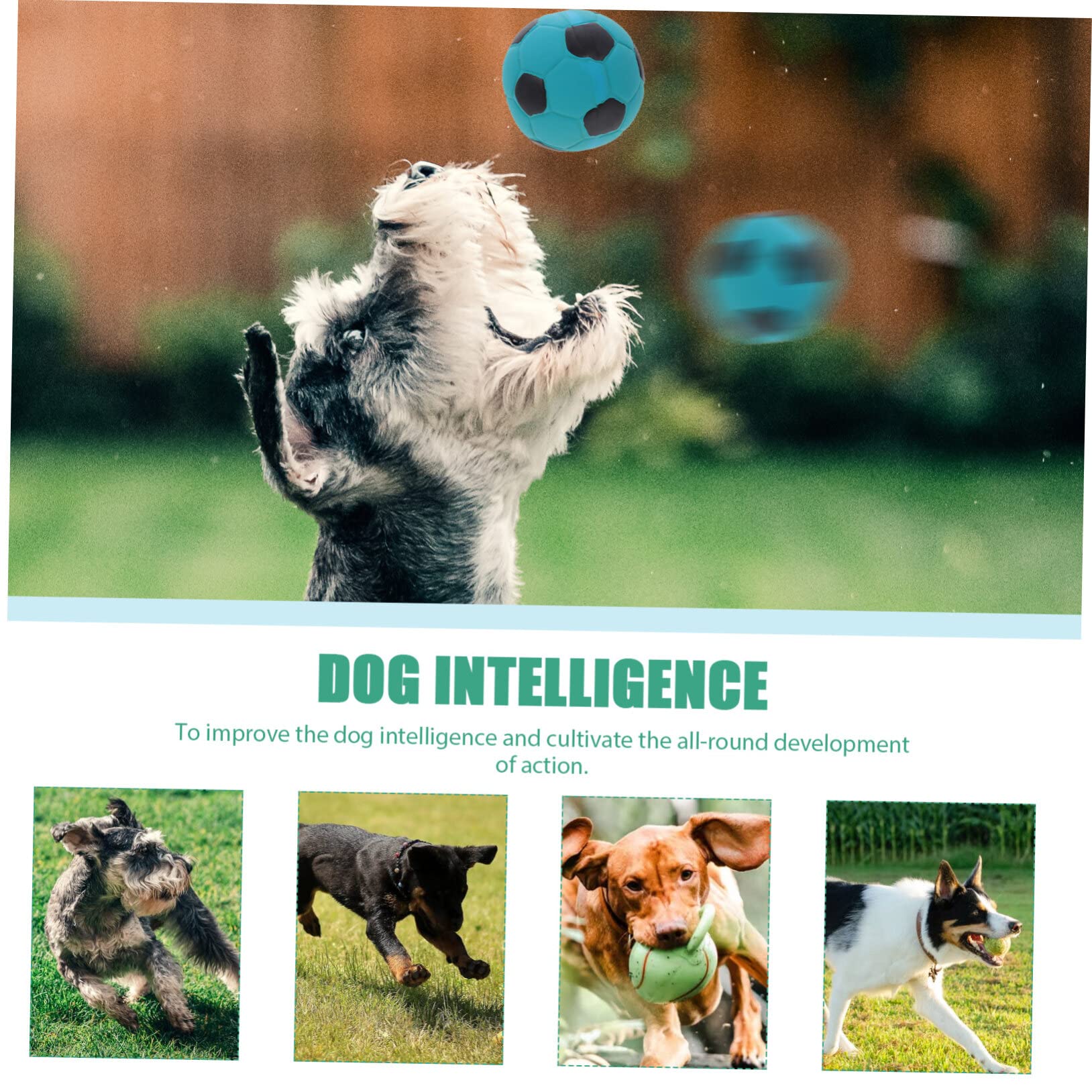 Mipcase 12stücke Interaktive Spielzeuge Für Hunde Weiche Molar-funktionale Fußball-kauspielzeuge Quietscher Für Welpen Und Aktive Spielzeiten