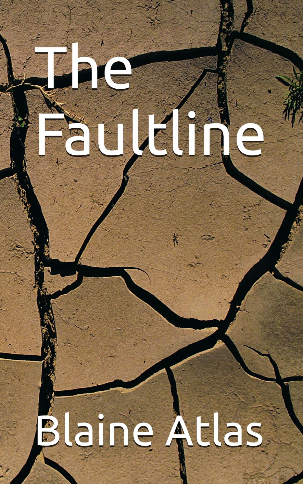 The Faultline