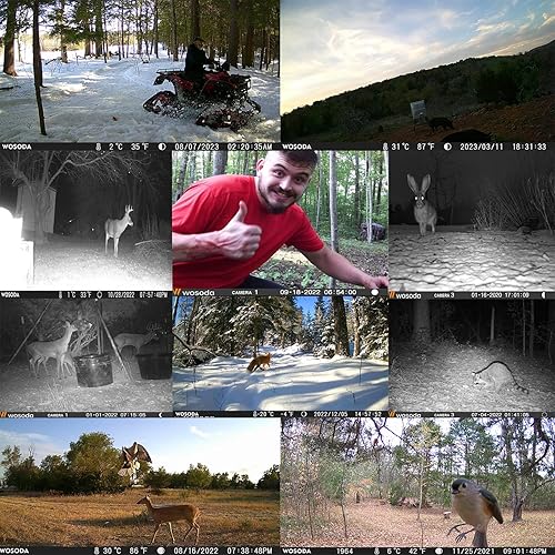 Miniatura 2 de Cámara de rastro de 36 MP 1920P + 30 MP 1080P, paquete de 2 cámaras de juego con visión nocturna activada por movimiento de 0.2 s, tiempo de disparo