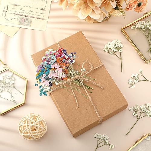 Miniatura 5 de Woanger 200 flores secas de resina para resina, flores secas de aliento de bebé, flores naturales reales prensadas, ramo de gypsophila, ramas de